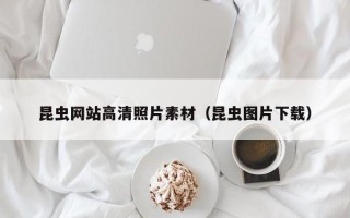 果洛昆虫网站高清照片素材（昆虫图片下载）